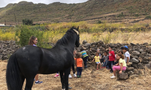 Campamento de Semana Santa de Equino Sentido