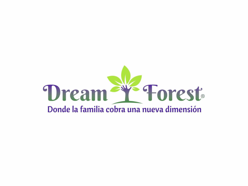 Descubre el mágico mundo de Dream Forest