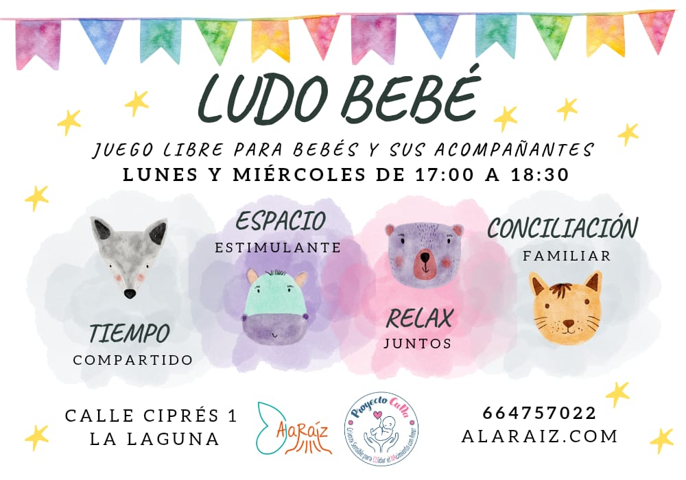 ¡Vuelve la Ludo Bebé!