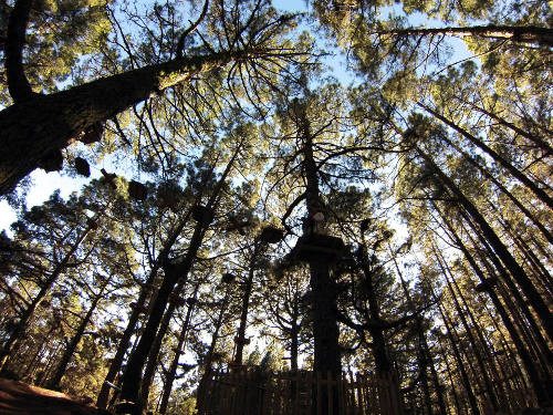 Forestal Park celebra su primer aniversario por todo lo alto
