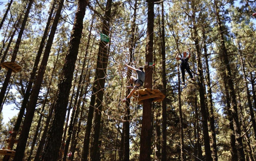II Aniversario de Forestal Park