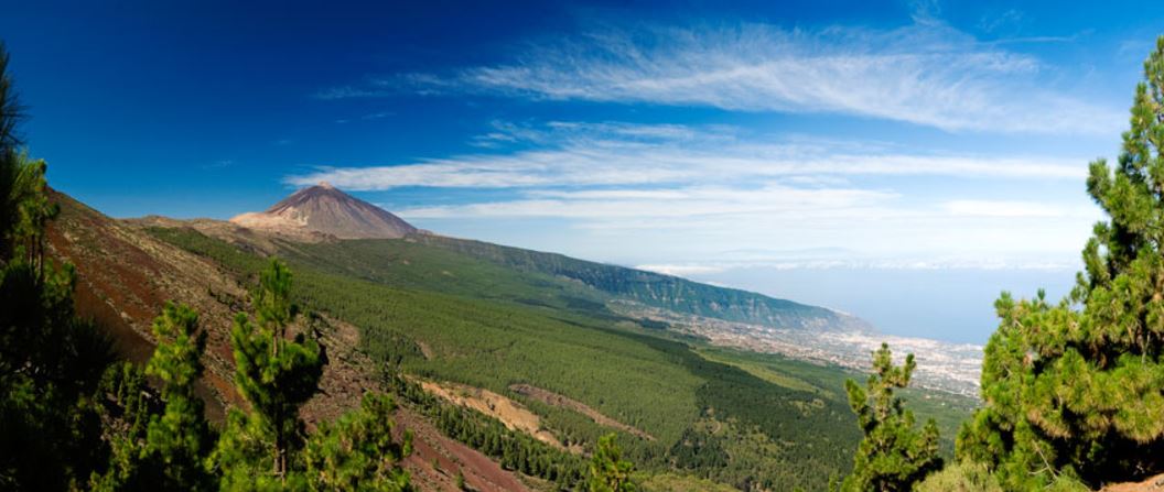 Patrimonio natural en el sur de Tenerife