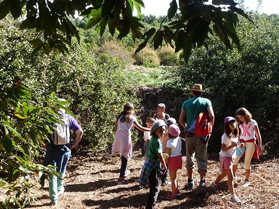 Parque Rural de Teno