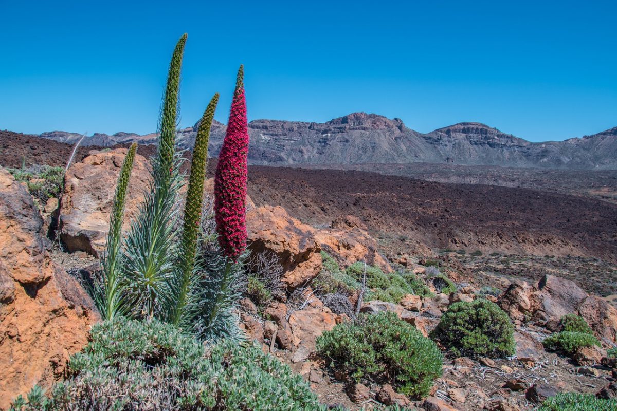 Actividades en la naturaleza