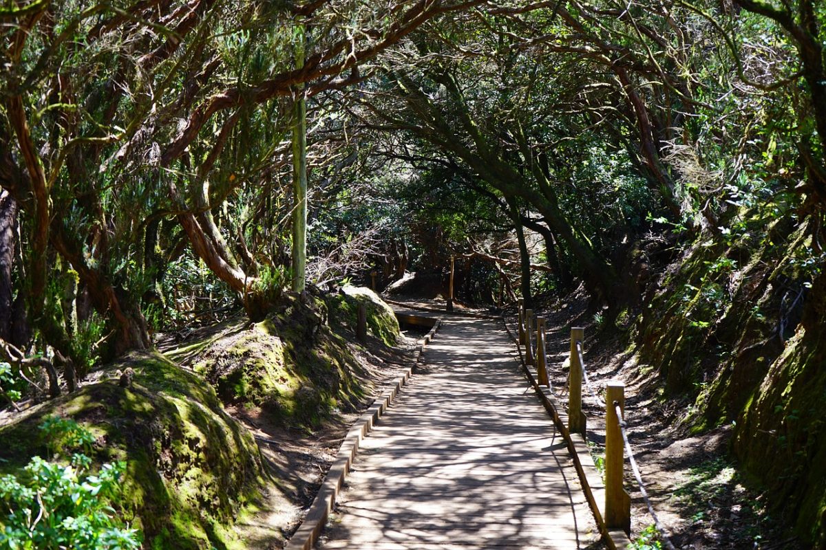 Rutas y Senderos por Tenerife